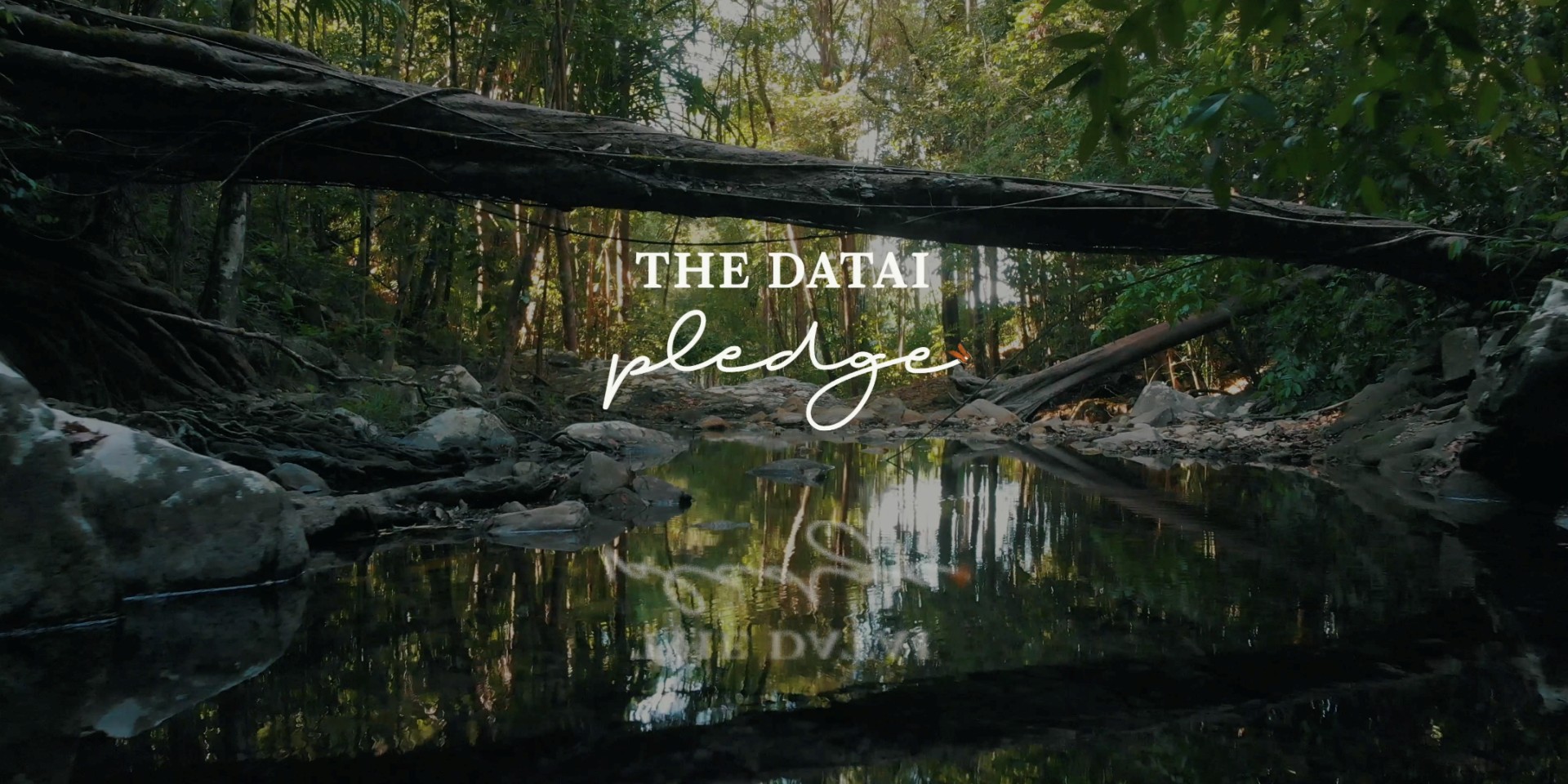 The Datai Pledge Overview