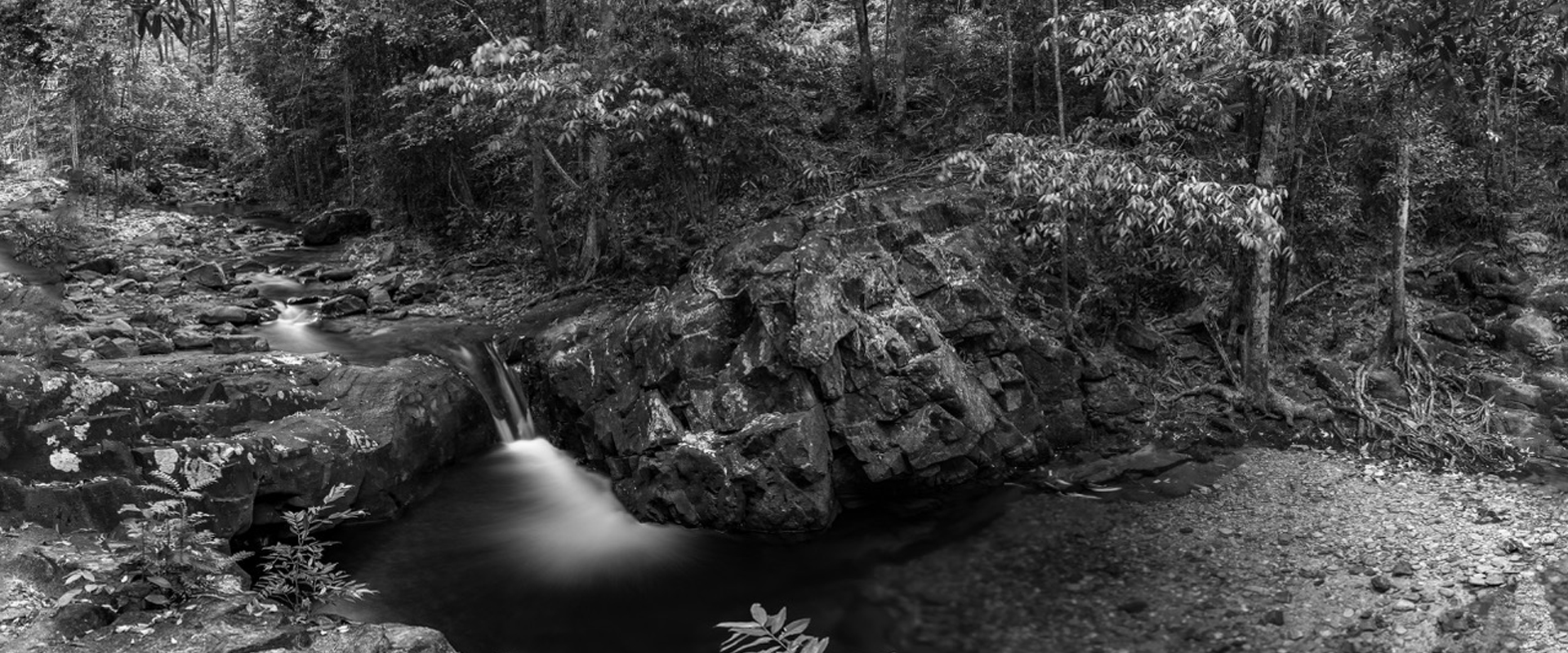 Crystal Creek, Langkawi © SC Shekar