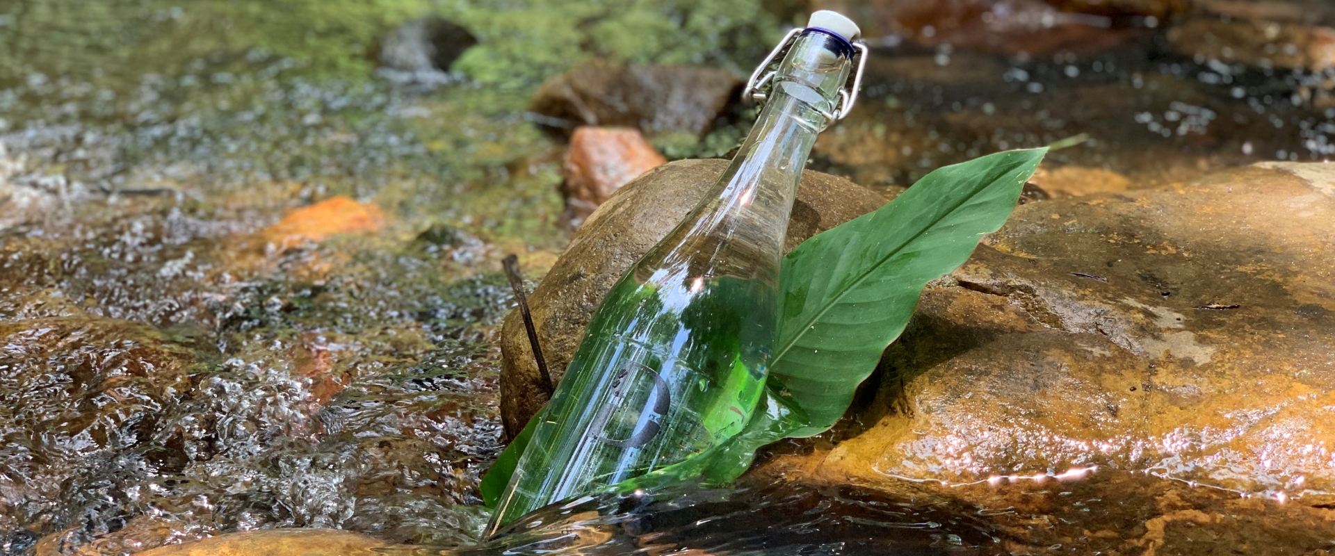 Glass water bottles were created to replace plastic bottled water