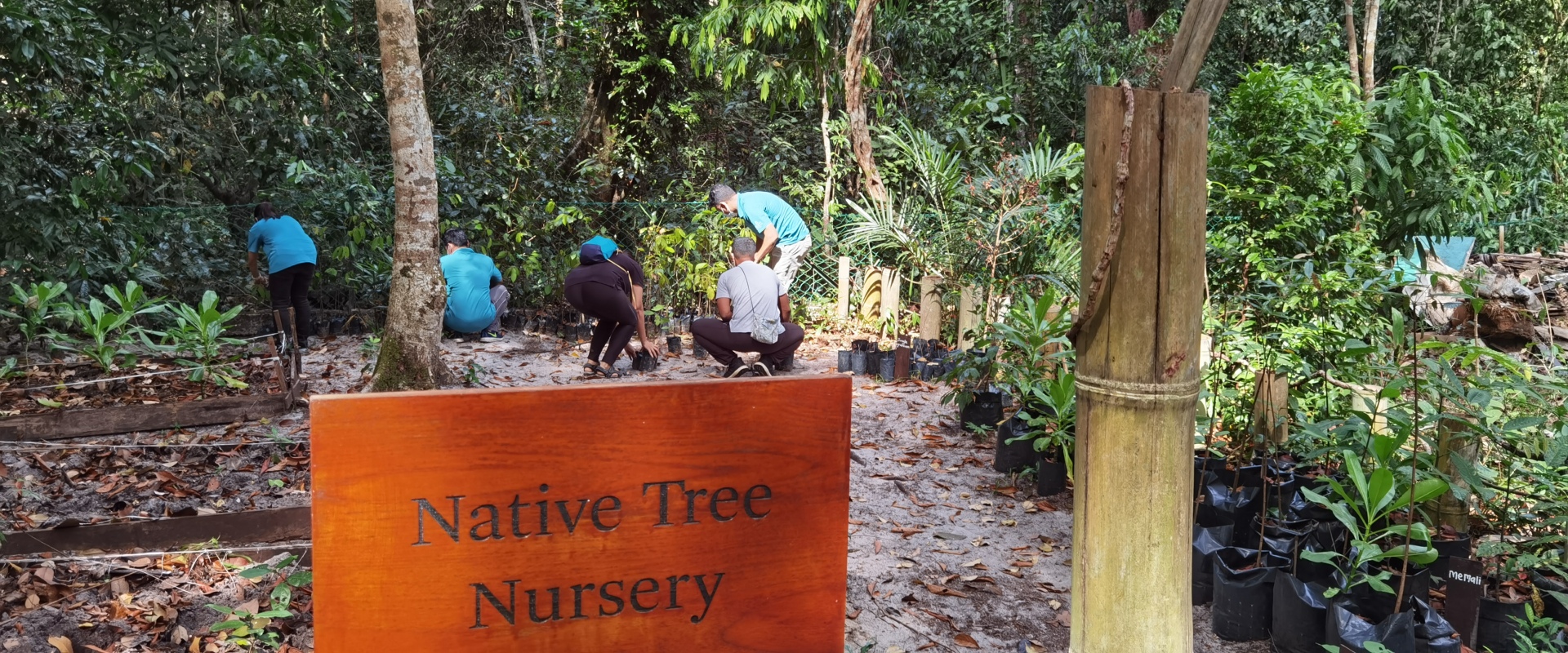 Native Tree Nursery at The Datai Langkawi
